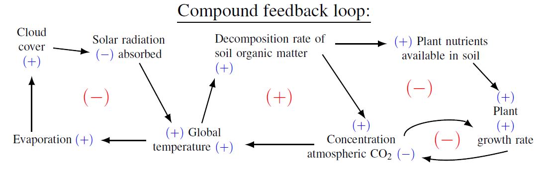 **Figure 3**: Example of a compound feedback loop that expands on the <br>feedback loop shown in Figure 2.