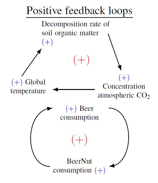 **Figure 2**: Example of positive feedback loops (top) organic matter <br>decomposition, global temperature, and atmospheric CO~2~ <br>and (bottom) between beer consumption and BeerNut consumption.