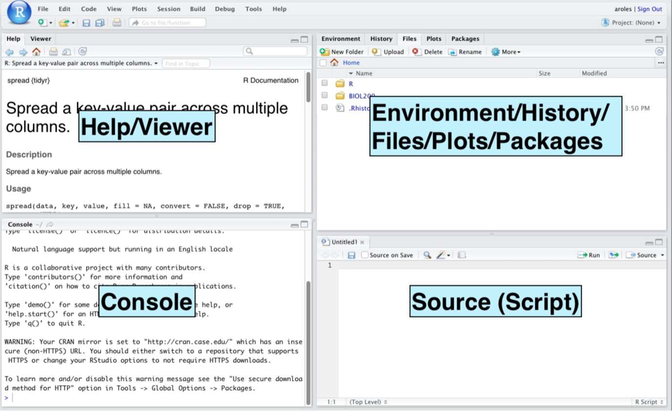 **Figure 1**: Screenshot of the RStudio window.